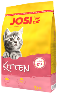 JosiCat Kitten