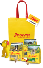 Стартовий набір для цуценят "Енергія та гра": корми SensiJunior, Kids та YoungStar по 900 г, іграшки, жовта еко-сумка та сертифікат на 250 грн – енергійний старт для здорового розвитку