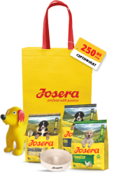 Стартовий набір для цуценят "Моя перша миска": корми SensiJunior, Kids та YoungStar по 900 г, миска, іграшка, еко-сумка та сертифікат на 250 грн – ідеальний комплект для цуценят