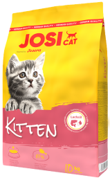 JosiCat Kitten