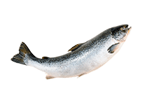 ingredient-image