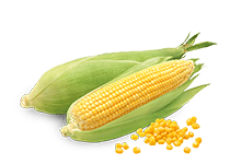 ingredient-image