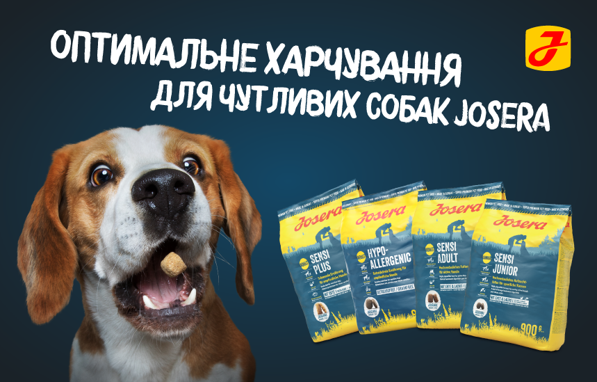 Собака із кормом Josera для чутливих собак: Sensi Plus, Hypoallergenic, Sensi Adult, Sensi Junior